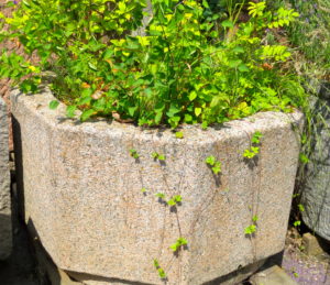 Pflanztrog aus Granit